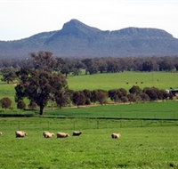 The Rock Nature Reserve - Accommodation Redcliffe