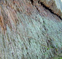 The Rock Nature Reserve - Kengal Aboriginal Place - Accommodation Redcliffe