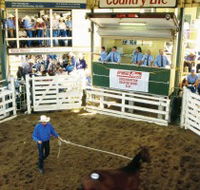 Gracemere Exhibition Complex - Accommodation Redcliffe