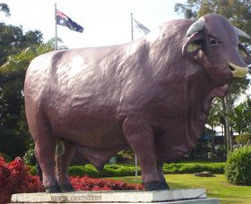 Rockhampton Bull Statues - Accommodation Redcliffe 0
