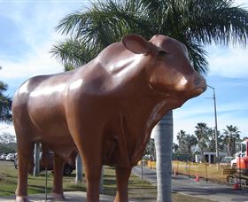 Rockhampton Bull Statues - Accommodation Redcliffe 3