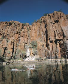 Python Pool - Accommodation Redcliffe 3