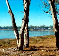 Lake Broadwater Conservation Park - Accommodation Redcliffe