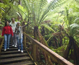 Otway Fly Treetop Adventures - Accommodation Redcliffe 0