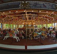 Merry-Go-Round - Accommodation Redcliffe