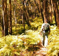 Federal Pass - Accommodation Redcliffe