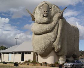 Big Merino - Accommodation Redcliffe 0