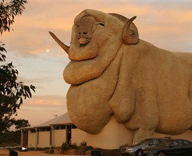 Big Merino - Accommodation Redcliffe 3