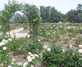 Victoria Park Rose Garden - Accommodation Redcliffe 0