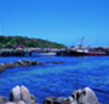 King Island Dairies - Accommodation Redcliffe