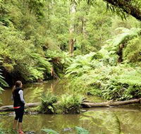 Morwell National Park - Accommodation Redcliffe