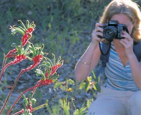 Kalamunda National Park - Accommodation Redcliffe 1