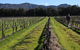 Around Hermitage Wine And Food Trail Hunter Valley - thumb 1