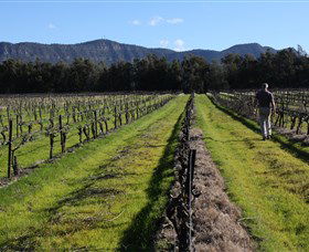 Around Hermitage Wine And Food Trail Hunter Valley - Accommodation Redcliffe 1