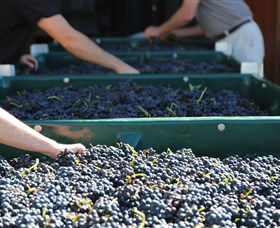 Around Hermitage Wine And Food Trail Hunter Valley - Accommodation Redcliffe 6