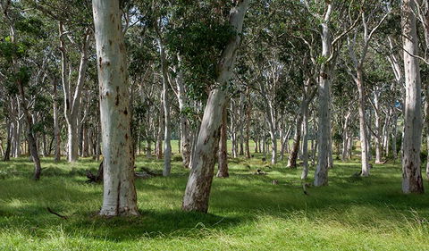 Coast To The Highlands Scenic Drive â€“ Kangaroo Valley - Accommodation Redcliffe 1