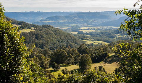 Coast To The Highlands Scenic Drive â€“ Kangaroo Valley - Accommodation Redcliffe 3
