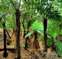 Pegarah Private Nature Reserve  Parenna Place - Accommodation Redcliffe
