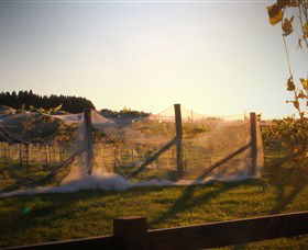 Bendooley Estate Book Barn - Accommodation Redcliffe 2