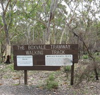 Box Vale Picnic Area - Accommodation Redcliffe