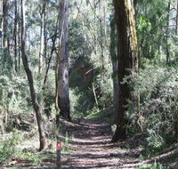Box Vale Mine Walking Track and Lookout - Accommodation Redcliffe