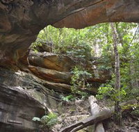 Cave Creek Walking Track - Accommodation Redcliffe