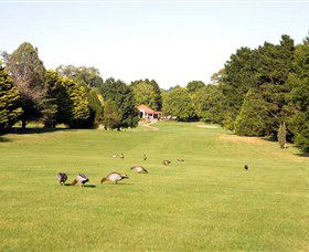 Moss Vale Golf Club - Accommodation Redcliffe 2
