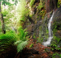 Fairy Bower Falls - Accommodation Redcliffe