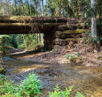 Myrtle Scrub scenic drive - Accommodation Redcliffe