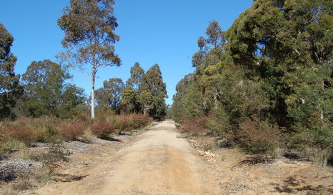 Werakata National Park - Accommodation Redcliffe 0