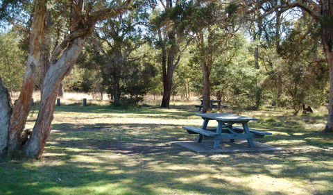 Werakata National Park - Accommodation Redcliffe 1