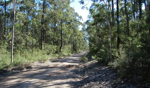 Werakata National Park - Accommodation Redcliffe 2