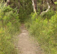 Three Views walking track