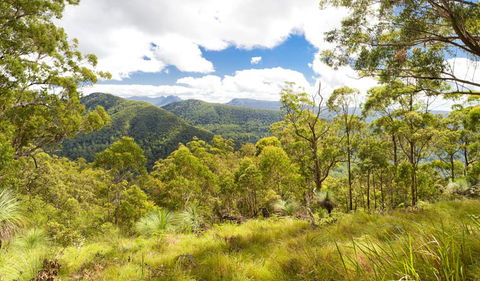 Toonumbar National Park - Accommodation Redcliffe 0