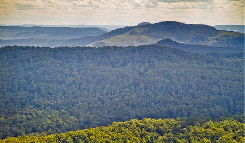 Murray Scrub Lookout - Accommodation Redcliffe 1