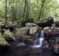 Kangaroo River - Accommodation Redcliffe