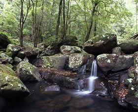 Kangaroo River - Accommodation Redcliffe 0