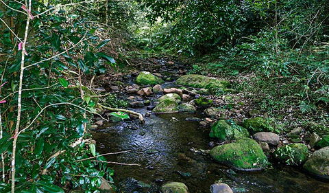 Macquarie Pass National Park - Accommodation Redcliffe 0