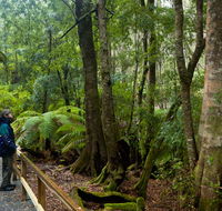 Monga National Park - Accommodation Redcliffe