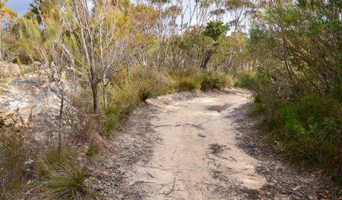 Cambewarra Range Nature Reserve - Accommodation Redcliffe 1