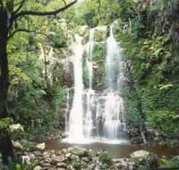 Budderoo National Park - The Falls Walk - Accommodation Redcliffe