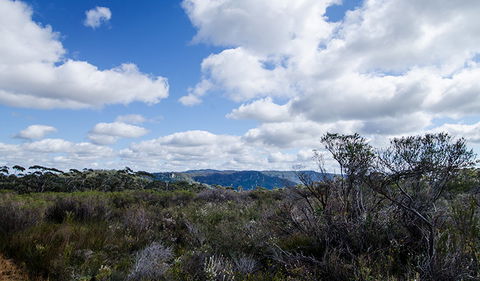 Barren Grounds Nature Reserve - Accommodation Redcliffe 0