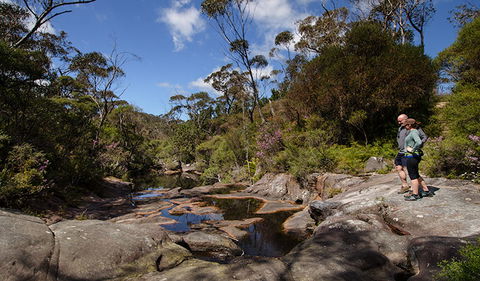 Barren Grounds Nature Reserve - Accommodation Redcliffe 1