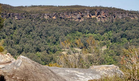 Barren Grounds Nature Reserve - Accommodation Redcliffe 3
