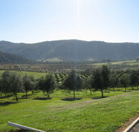 Hastings Valley Olives - Accommodation Redcliffe