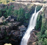 Minnamurra Rainforest Centre Budderoo National Park - Accommodation Redcliffe