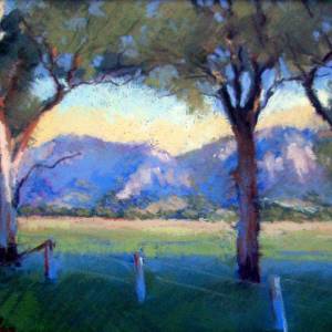 Galleries In The Gardens - Accommodation Redcliffe 4