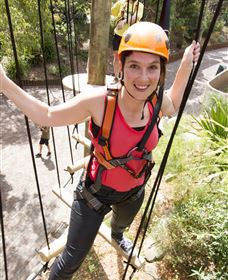Wild Ropes At Taronga Zoo - Accommodation Redcliffe 3