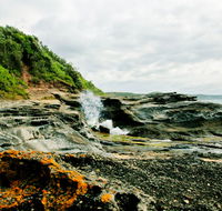 Glenrock State Conservation Area - Accommodation Redcliffe