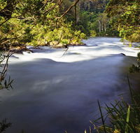 Nymboi-Binderay National Park - Accommodation Redcliffe